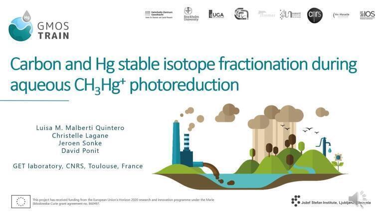 Carbon and Mercury Stable Isotope Fractionation During Aqueous Monomethyl Mercury Photoreduction in Sulfidic Environment